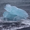 01 FFFK MA Abele Hans-Peter Eisscholle 01